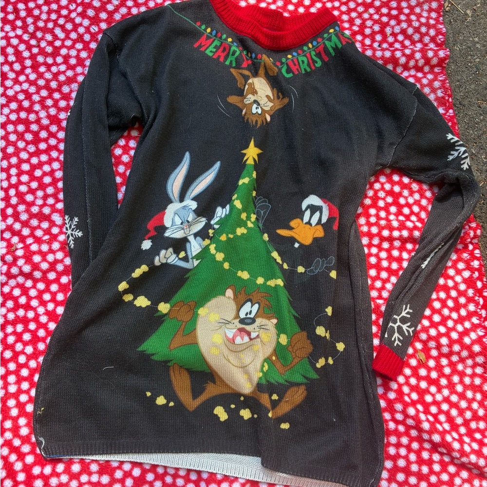 Warner Bros. Black Christmas Sweater with Characters